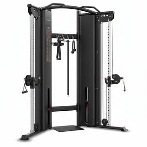 Insight Fitness Dual Adjustable Pulley - 2