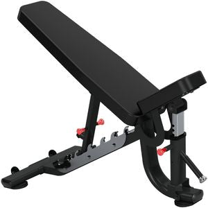 Insight Fitness Fid Bench