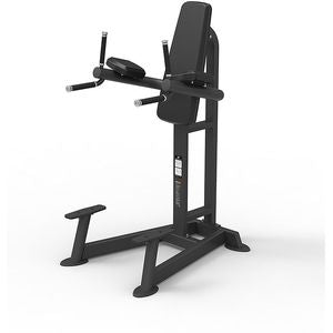 Spirit Fitness Knee Lifting Machine