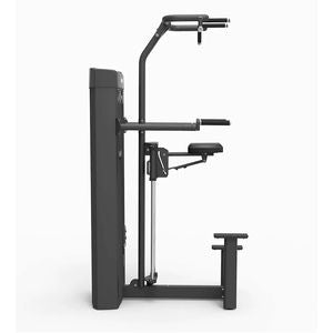 Spirit Fitness Dip/Chin Assist - 2
