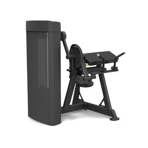 Spirit Fitness BICEPS CURL / TRICEPS EXTENSION - 3